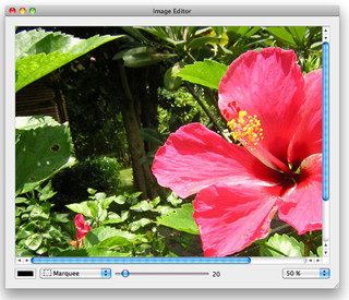 インフィニシス、写真編集を簡単に行えるソフト「Red Pill」発売
