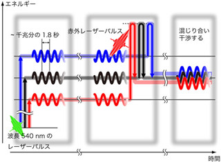 IMS、外部より分子コンピュータ内のポピュレーションコード書き換えに成功