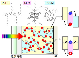 京大、色素増感を用いた高分子太陽電池の高効率化を実証
