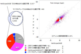 理研、微量サンプルで測定可能な1分子シーケンサの遺伝子発現解析法を開発