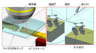 名大、高速・高精度で細胞操作を可能としたマイクロロボットを開発