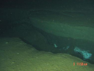 しんかい6500、潜航調査で地震の影響と思われる亀裂などを海底で発見