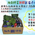 ECナビ湘南ラボ、「湘南野菜」初の直販サイト「野菜deえがお」を開設