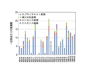 東大、血液がん「骨髄異形成症候群」の原因遺伝子を発見