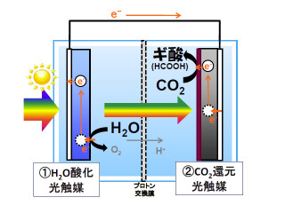 豊田中研、太陽光を利用して水とCO2から有機物を合成する人工光合成に成功