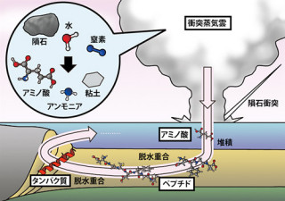 NIMSら、初期地球の生命につながる化学進化の場が海底地下であると発表