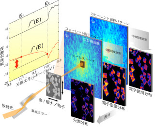 理研ら、大視野・高分解能な「走査型コヒーレントX線回折顕微法」を開発