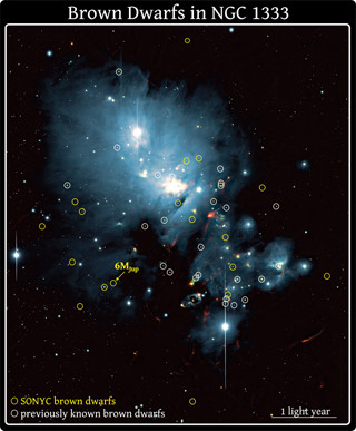 国立天文台など、2つの若い星団にて約30個の褐色矮星の直接観測に成功
