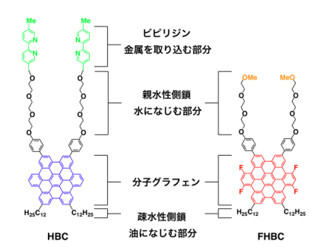 東大など、電子輸送層とホール輸送層の2つの分子グラフェンの接合に成功