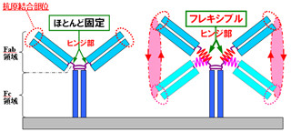 島津製作所、血液1滴でがんや成人病の早期診断が可能になる基礎技術を開発