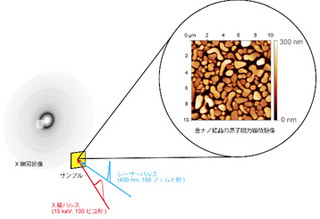 KEKなど、金ナノ粒子が光により膨張・収縮運動する様子を観測