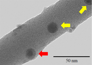 NIMS、パルスレーザー照射による機能性高分子ナノワイヤ作製技術を開発