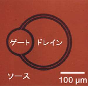 NICTなど、酸化ガリウムを用いたトランジスタを開発