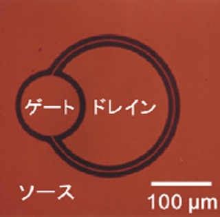 NICTなど、酸化ガリウムを用いたトランジスタを開発