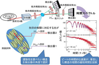 京大など、新たな観測手法を用いて液晶における分子間の会合状態を解明