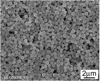 産総研、サブマイクロメートル球状粒子を利用した光散乱体を開発