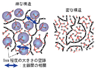 高分子の溶融体は圧力の違いで2つの顔を持つ - 慶応大などが発見