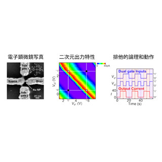 東工大、単電子トランジスタを化学的手法で製作 - 6種類の論理演算を実証