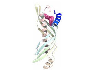 生物研、「昆虫幼若ホルモン」とその血液中での輸送の仕組みを解明