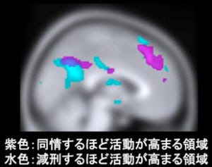 放医研、裁判審理で「情状酌量」をする際の脳機能メカニズムを解明