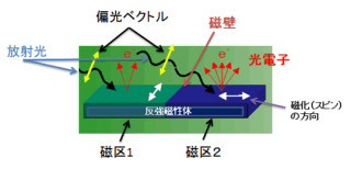 JASRIなど、酸化ニッケルの磁壁を観察してその幅や内部のスピン方向を確認