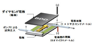 慶応大など、導電性ダイヤモンド電極による有機電解反応で物質合成に成功