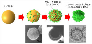 NIMS、有機物と無機物の長所を併せ持つナノカプセルを開発 - DDS実用に前進