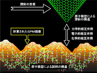 東北大など、走査型プローブ顕微鏡像のシミュレーションソフトを開発