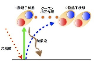 筑波大、CNTの高効率光電変換機構を解明