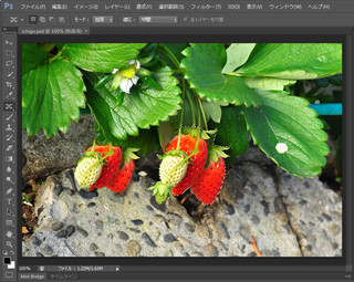 「Photoshop CS6」新機能レビュー - コンテンツに応じたパッチ／移動機能編