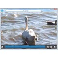 クリエイターのためのWebテク講座 - videoタグを使って、Flash無しでビデオ再生