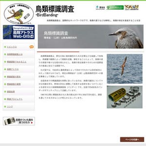 環境省、渡り鳥の記録をGoogle Earth上で見られるWebサイトを開設