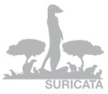 Suricate 1.3公開 - オープンソースのネットワーク侵入検知システム