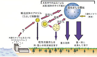 硫酸塩エアロゾルが放射性セシウム輸送の担体である可能性を示唆 - 産総研