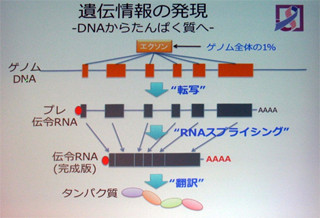 スパコンでがんに挑む - 先端技術の活用で変わる治療研究の最前線(前編)