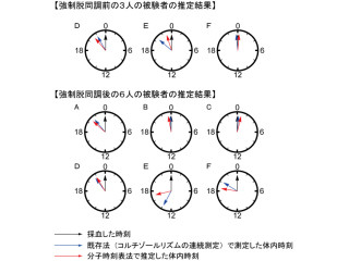 理研など、体内時刻を採血した血液から簡単に測定する方法を開発