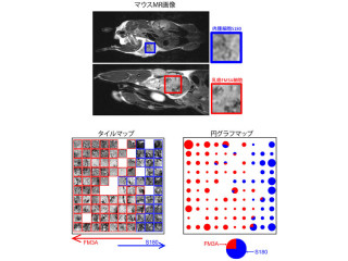 JSTや東大など、生物医学画像を自動分類するソフトウェア「カルタ」を開発