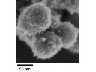 東大など、結晶が大きく成長していく機構を実験的に解明することに成功