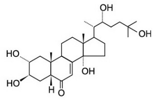 ステロール類の代謝関連酵素遺伝子の微妙な変化が好物を変える - 東大など