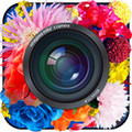 iPhoneで撮った写真を極彩色に!!蜷川実花が監修した無料カメラアプリ登場