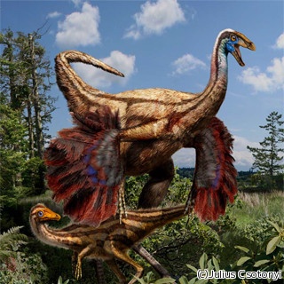 恐竜の翼は飛ぶためではなく繁殖行動のためにあった - 北大などが解明