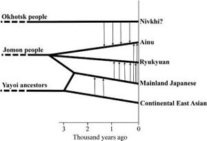 やはりアイヌ人と琉球人の方が本土人よりも遺伝的に近かった - 東大など