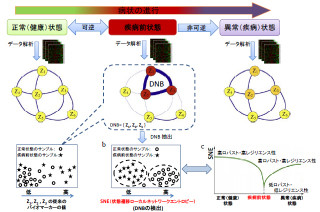 東大生産研、早期診断や病態悪化の予兆検出を可能とする理論の有効性を証明