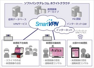 ソフトバンクら、ホワイトクラウドで遠隔病理迅速診断ネットワーク構築支援