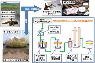 NEDO、タイにてキャッサバの残りカスから代替燃料を製造する実証事業を開始