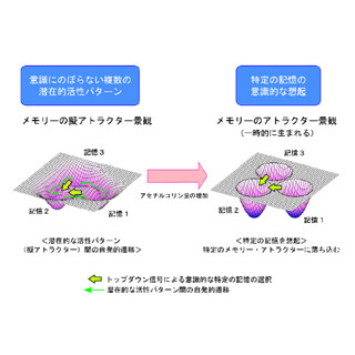 東大など、脳が記憶を意識的に想起する仕組みに関する新たな数理理論を発表