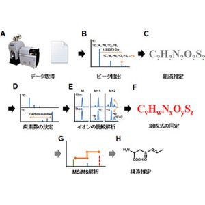 理研など、硫黄を含んだ二次代謝物を網羅的に分析できる手法を確立