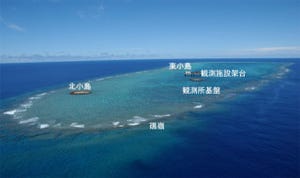 沖ノ鳥島のサンゴ種は多様性が少ない - 東大がサンゴ種リストを発表