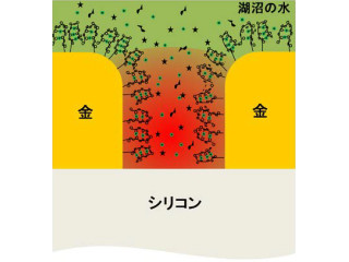 NIMS、水中の水銀イオンを従来の10倍の感度で検出できる赤外分光技術を開発