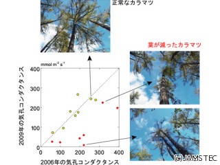 気候変動による湿潤化で東シベリアの森林の枯死が進行中 - JAMSTEC